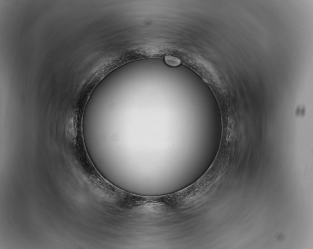 X0000100350210200806131000