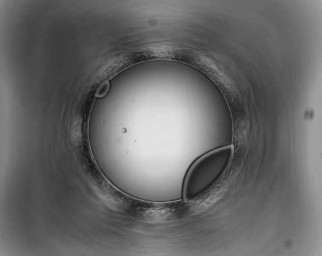 X0000100350213200806131000
