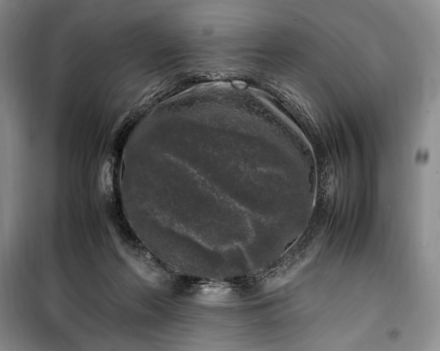 X0000100350214200806131000