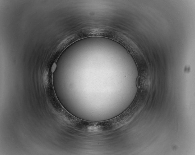 X0000100350216200806131000