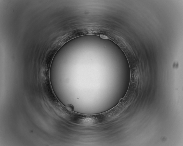 X0000100350218200806130959