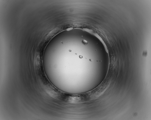 X0000100350220200806130959