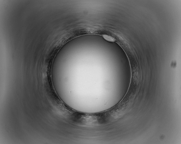 X0000100350221200806130959