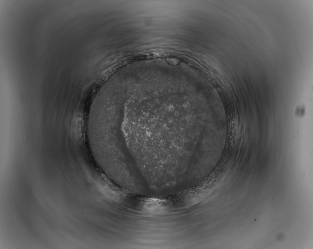 X0000100350222200806130959