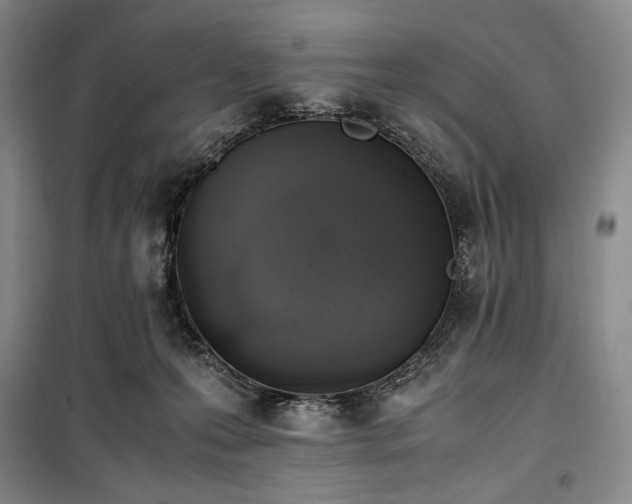 X0000100350223200806130959