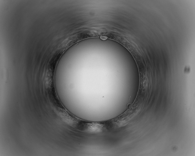 X0000100350226200806130959