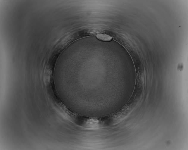 X0000100350227200806130959