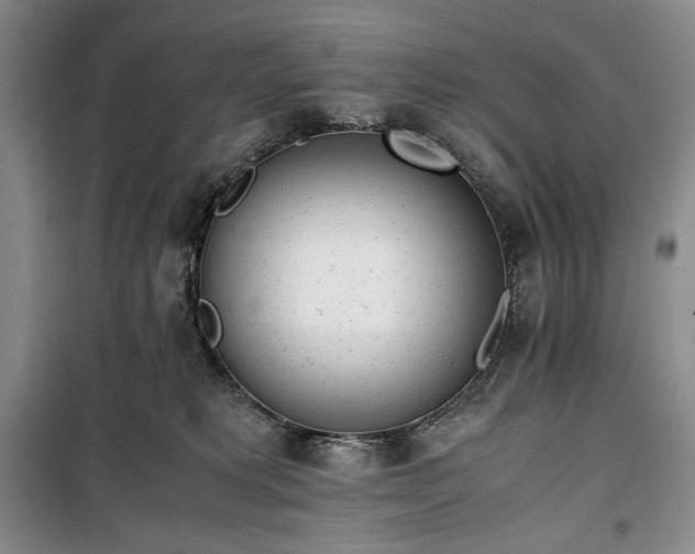 X0000100350229200806130959