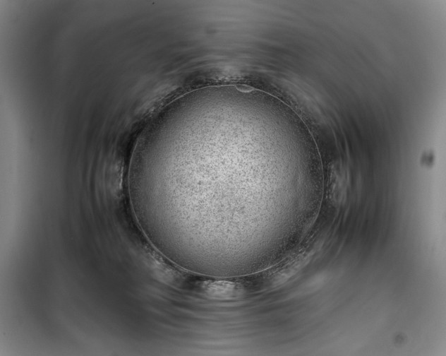 X0000100350230200806130959