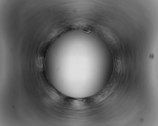 X0000100350232200806130959