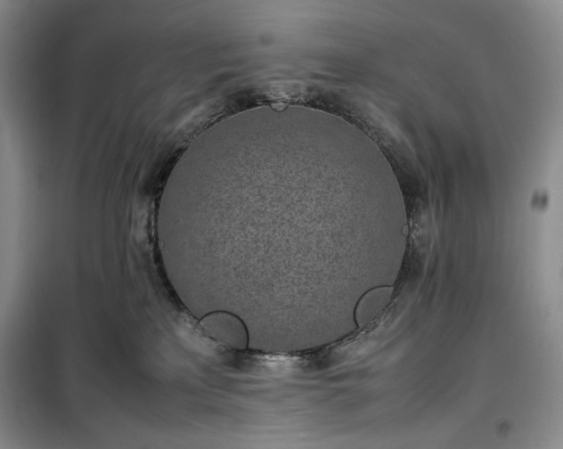 X0000100350233200806130959