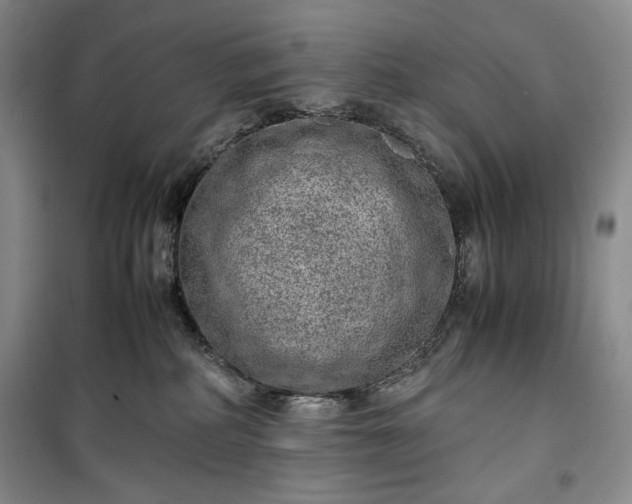 X0000100350234200806130959