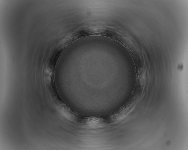 X0000100350235200806130959