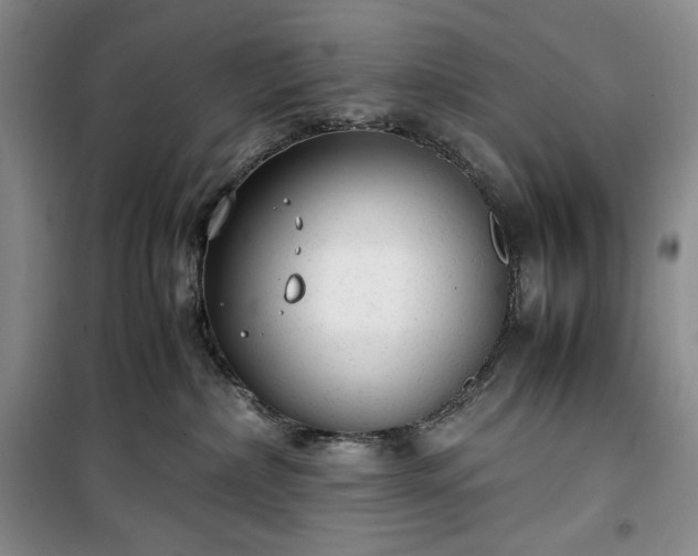 X0000100350236200806130959