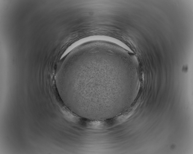X0000100350237200806130959