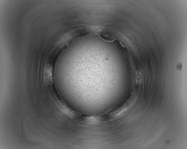 X0000100350238200806130959