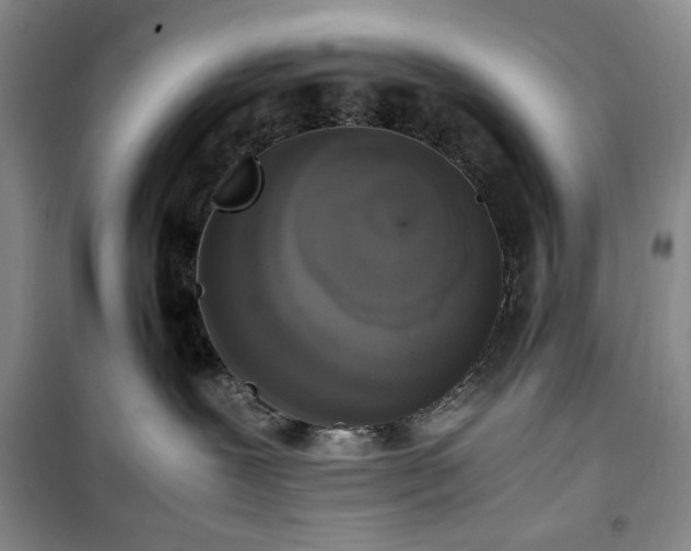 X0000100350239200806130959