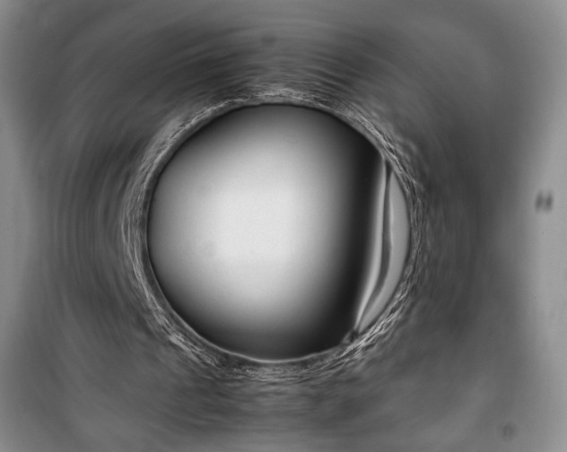 X0000100350241200806130959