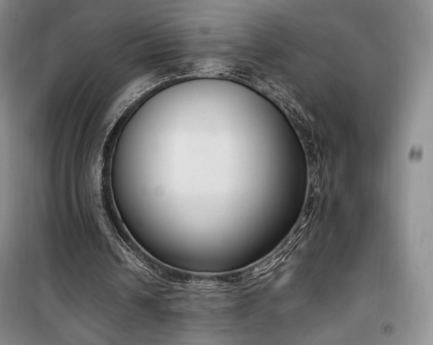 X0000100350242200806130959