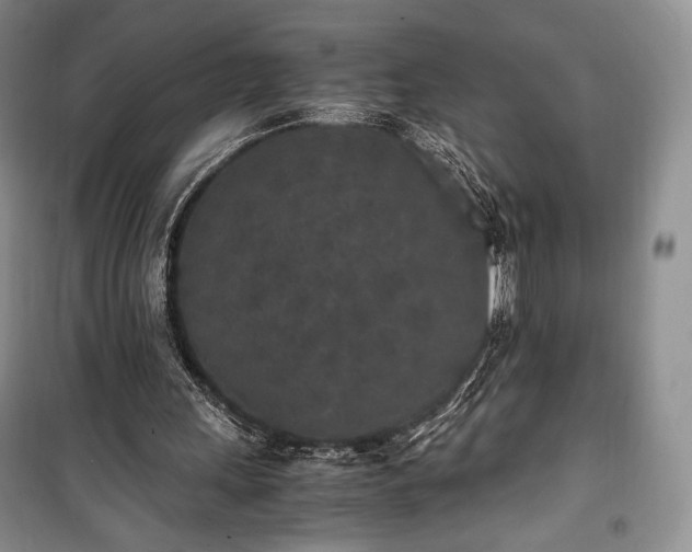 X0000100350243200806130959
