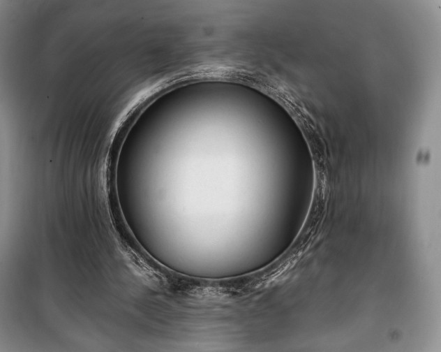 X0000100350244200806130959