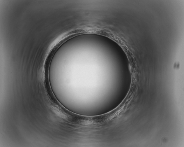 X0000100350246200806130959