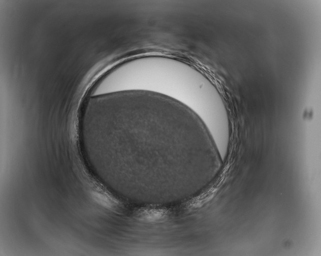 X0000100350247200806130959