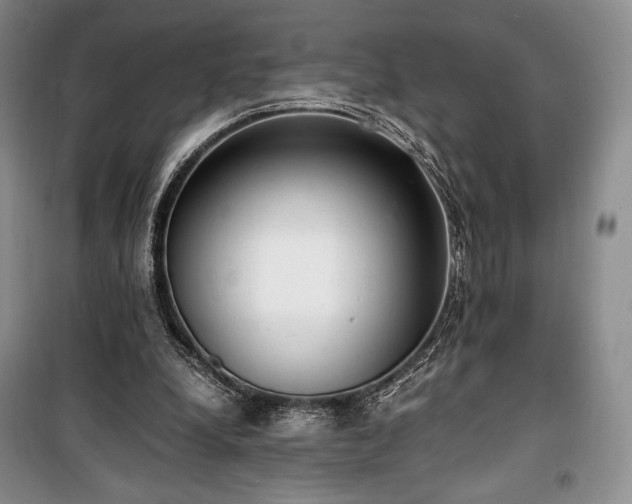 X0000100350248200806130959