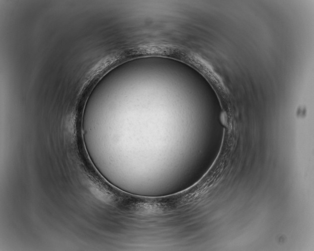 X0000100350250200806130959