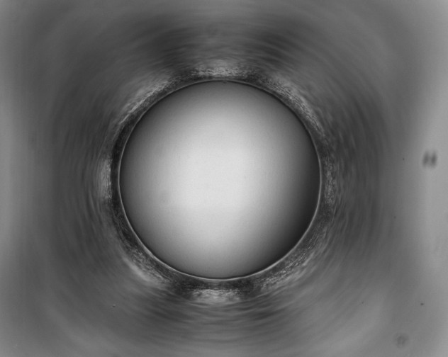 X0000100350251200806130959