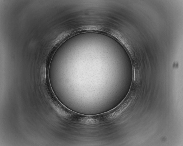 X0000100350253200806130959
