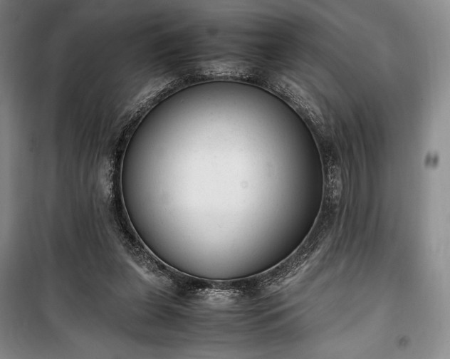 X0000100350255200806130959