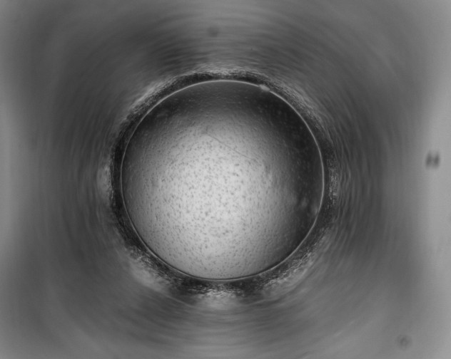 X0000100350256200806130959