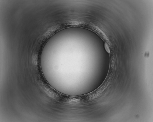 X0000100350257200806130959