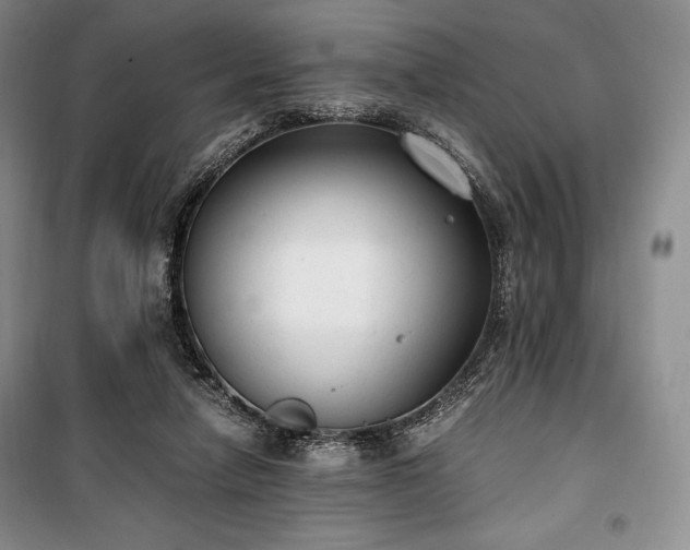 X0000100350258200806130959