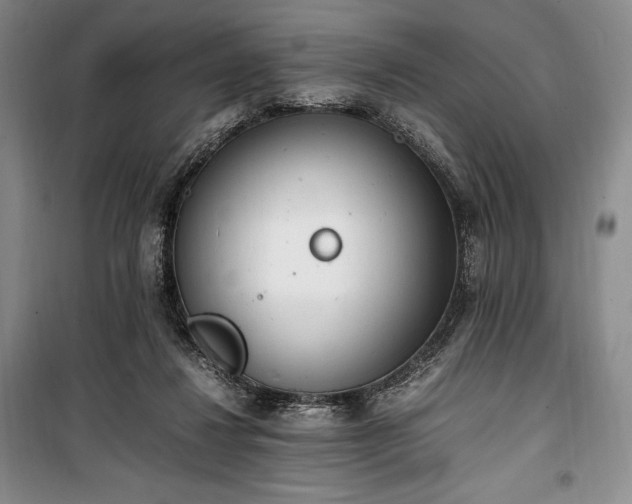 X0000100350260200806130959