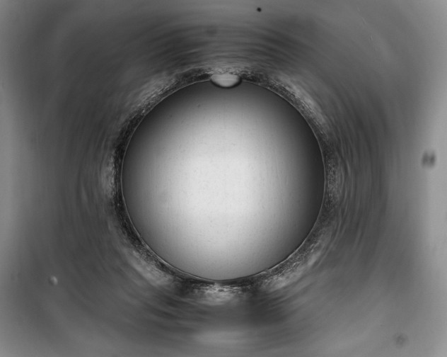 X0000100350261200806130959