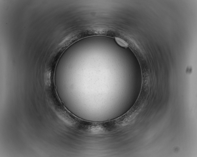 X0000100350262200806130959