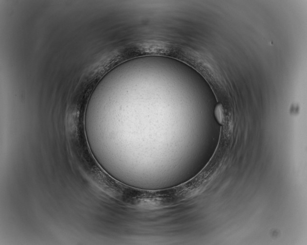 X0000100350263200806130959