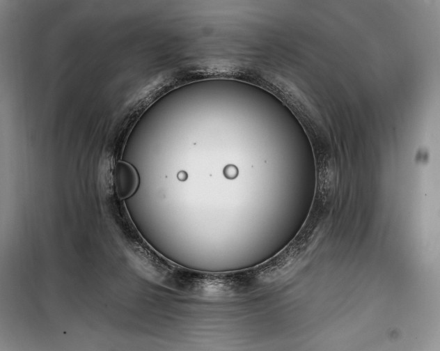 X0000100350264200806130959