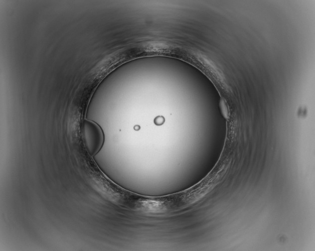X0000100350265200806130959