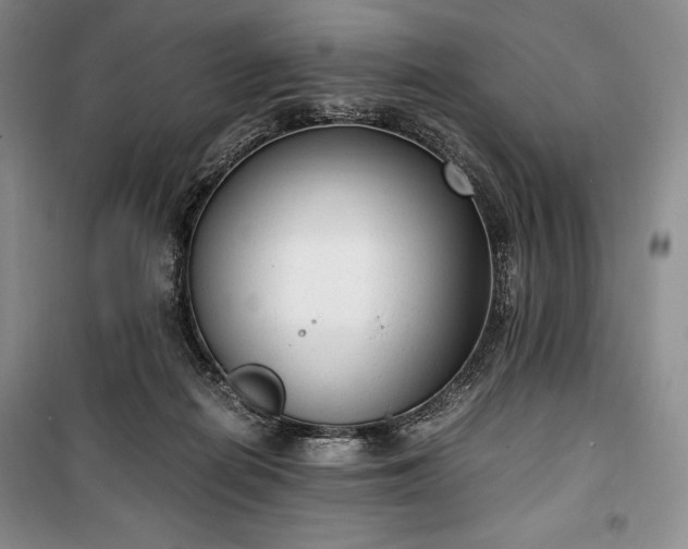 X0000100350266200806130959