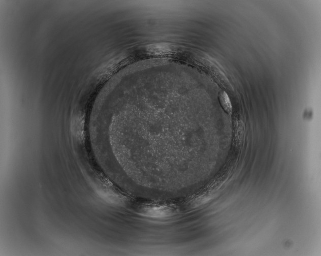 X0000100350267200806130959