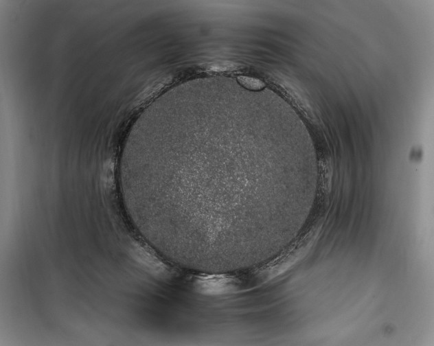 X0000100350269200806130959