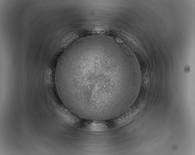 X0000100350270200806130959