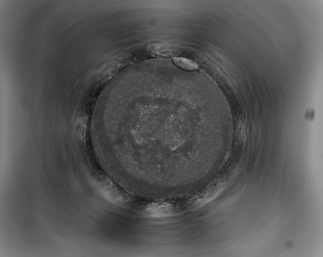 X0000100350271200806130959