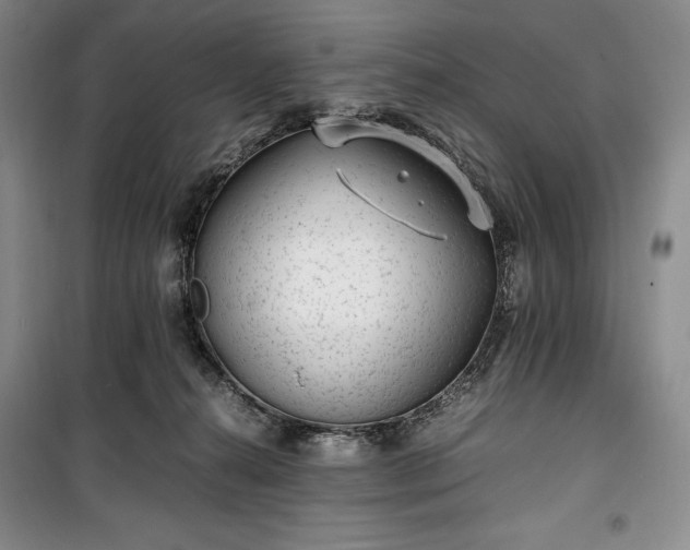 X0000100350272200806130959