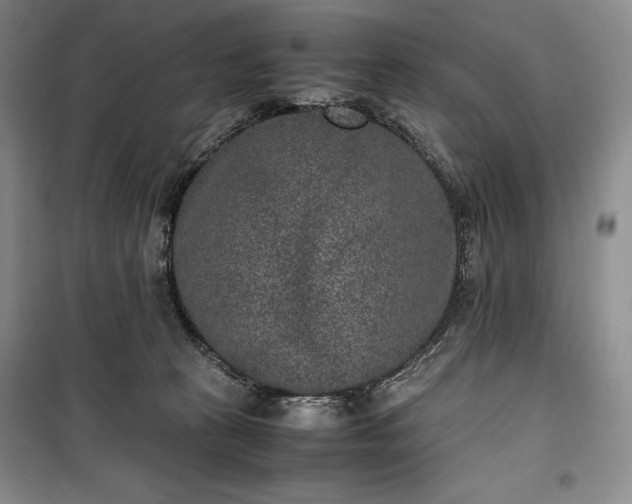 X0000100350273200806130959