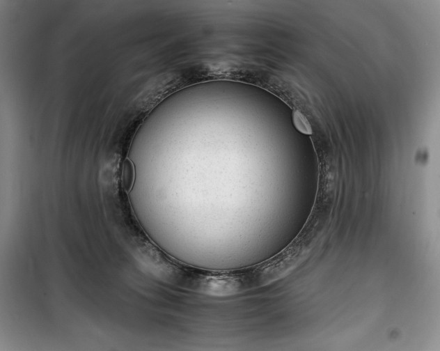 X0000100350275200806130959
