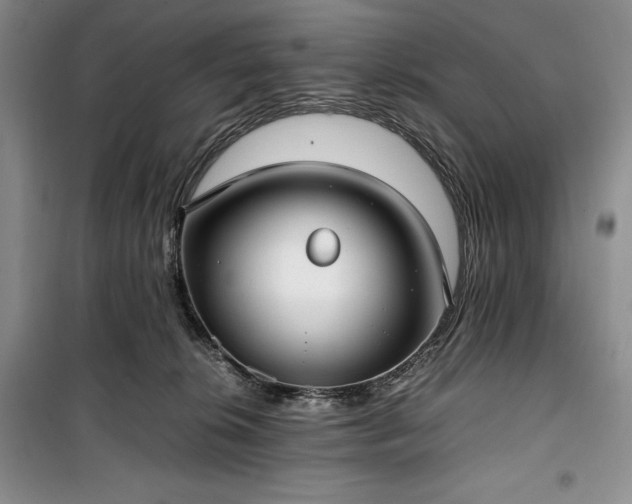 X0000100350276200806130959